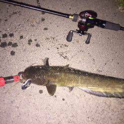 ナイトウォーカー